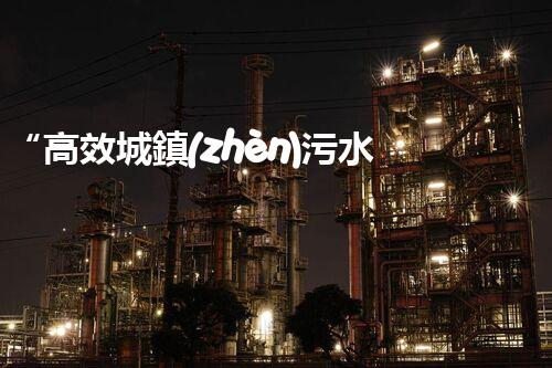 “高效城鎮(zhèn)污水處理流程，守護碧水藍天新篇章”